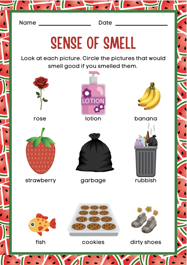 Sense of Smell — Circle the pictures that would smell good.